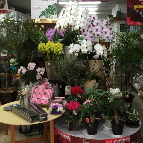「かつべ生花店」　（島根県出雲市）の花屋店舗写真1